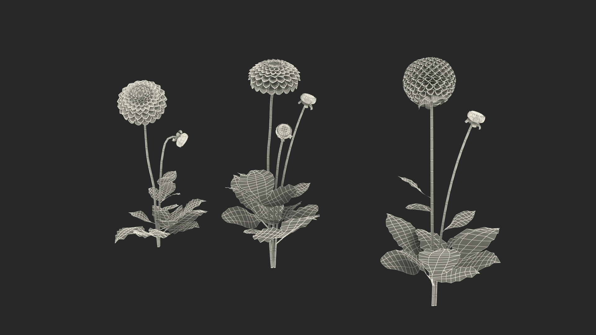 3D dahlia franz kafka pink https://p.turbosquid.com/ts-thumb/Iv/AO2tRF/Klyc565J/dahlia_franz_kafka_pink_set_361/jpg/1597706438/1920x1080/turn_fit_q99/15f2c4c44f9a8446ec3ced1cbb0d8c6741920f37/dahlia_franz_kafka_pink_set_361-1.jpg