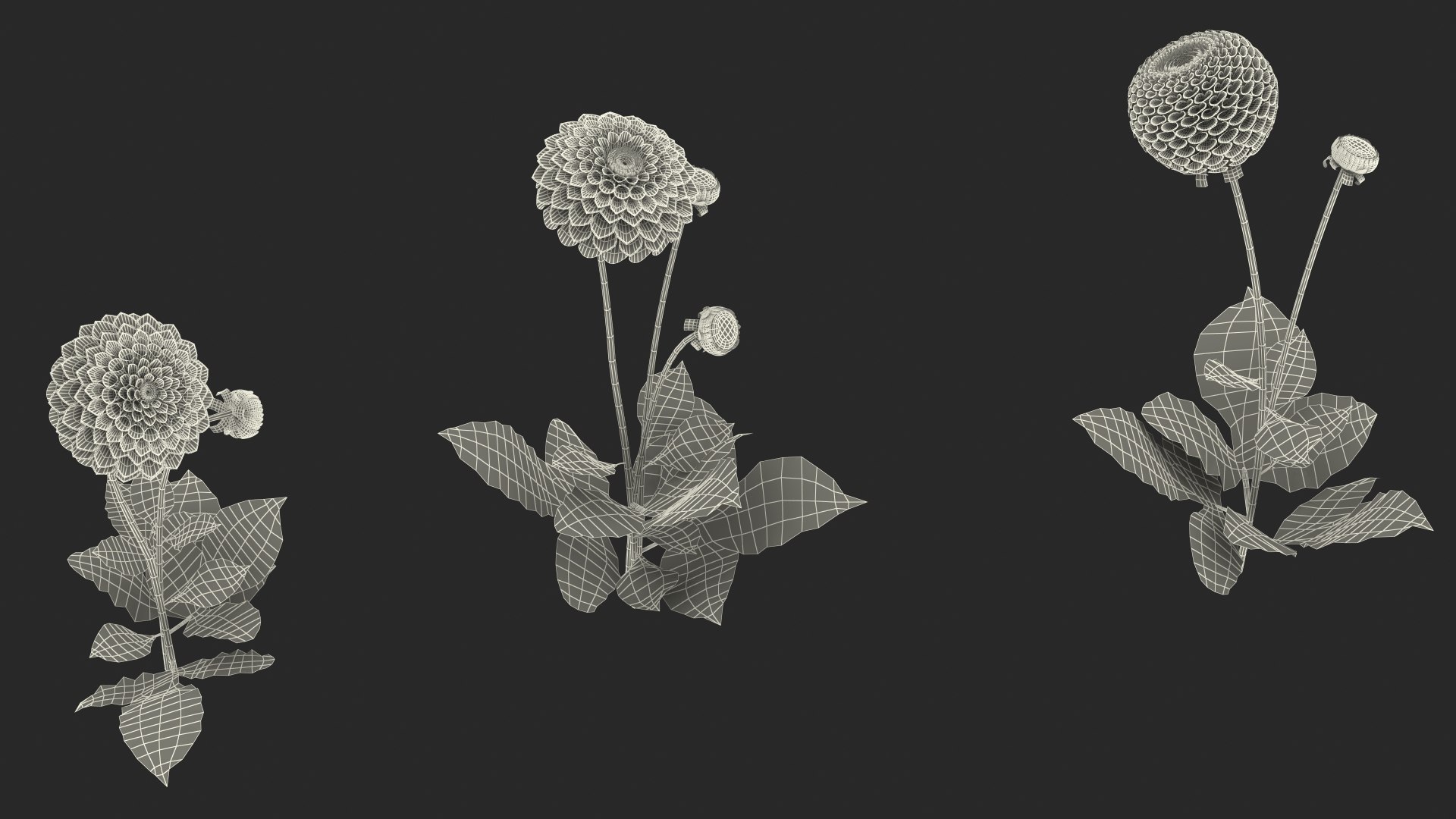 3D dahlia franz kafka pink https://p.turbosquid.com/ts-thumb/Iv/AO2tRF/Uc8yXLLB/dahliafranzkafkapinksetc4dmodel028/jpg/1597707722/1920x1080/fit_q87/8a2d59632e66a1b64b226e2adb2f06ac04f7085c/dahliafranzkafkapinksetc4dmodel028.jpg