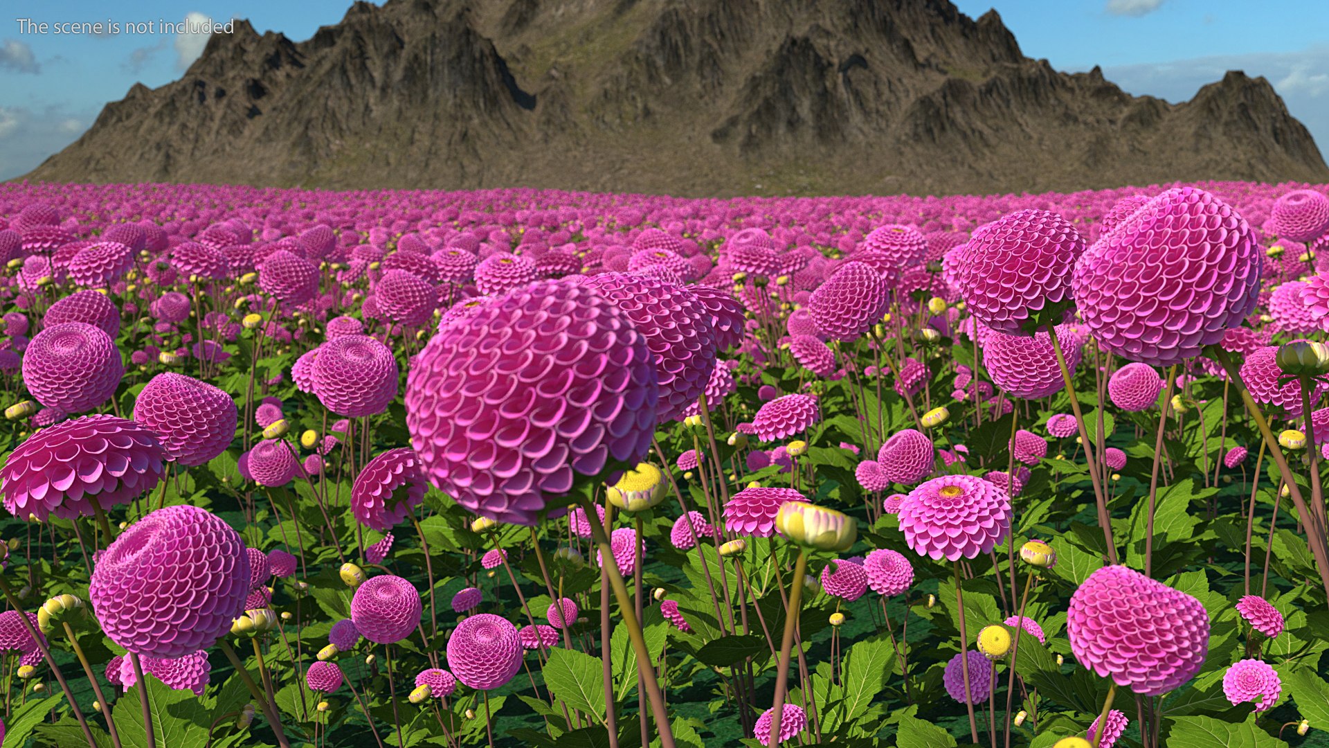 3D dahlia franz kafka pink https://p.turbosquid.com/ts-thumb/Iv/AO2tRF/s53Qk2Gt/dahliafranzkafkapinksetc4dmodel002/jpg/1597707447/1920x1080/fit_q87/4ca638b9901a41c805983a3db7777048432cf47d/dahliafranzkafkapinksetc4dmodel002.jpg
