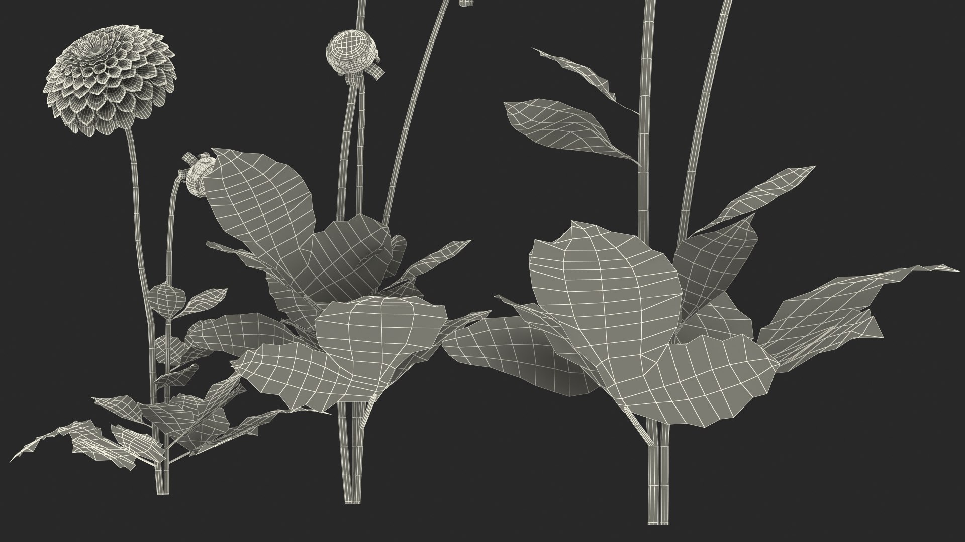 3D dahlia franz kafka pink https://p.turbosquid.com/ts-thumb/Iv/AO2tRF/wvRbSI07/dahliafranzkafkapinksetc4dmodel031/jpg/1597707754/1920x1080/fit_q87/0f8247262c790e0e77f3293c3105c263375ad4ca/dahliafranzkafkapinksetc4dmodel031.jpg