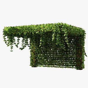 Pergola Vine Bower Climbing plant model