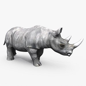 Rhino