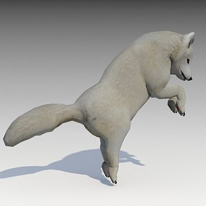 3D artic fox