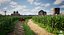 Scène 3D de paysage agricole