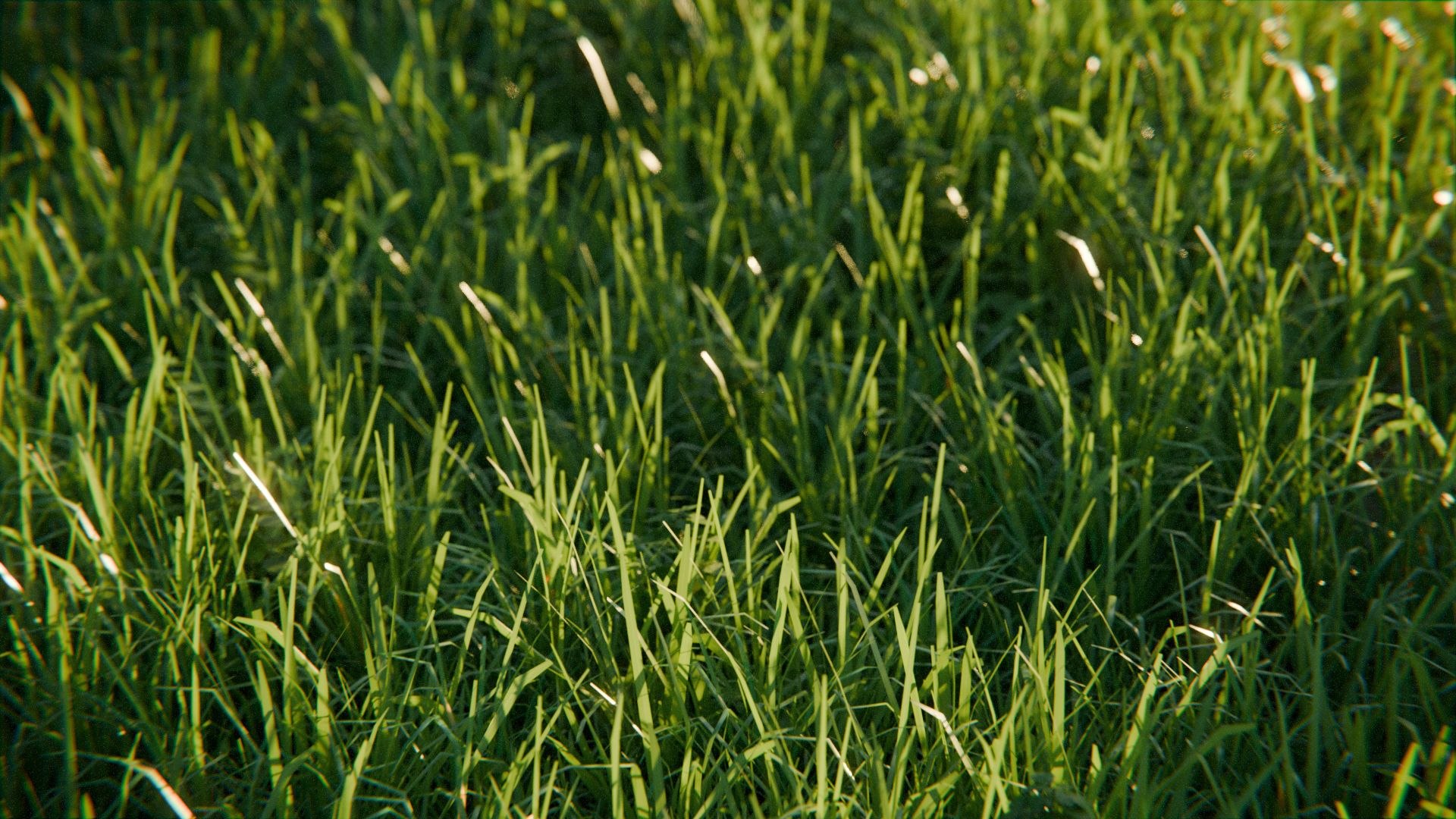 Farm Landscape 3d Scene 3D model https://p.turbosquid.com/ts-thumb/Iw/6giQPO/Fc/farm_10/jpg/1770667375/1920x1080/fit_q87/6cbc57569445a003e8577e8d6761184d9d4eab2d/farm_10.jpg