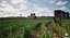 Scène 3D de paysage agricole