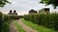 Scène 3D de paysage agricole