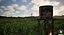 Scène 3D de paysage agricole