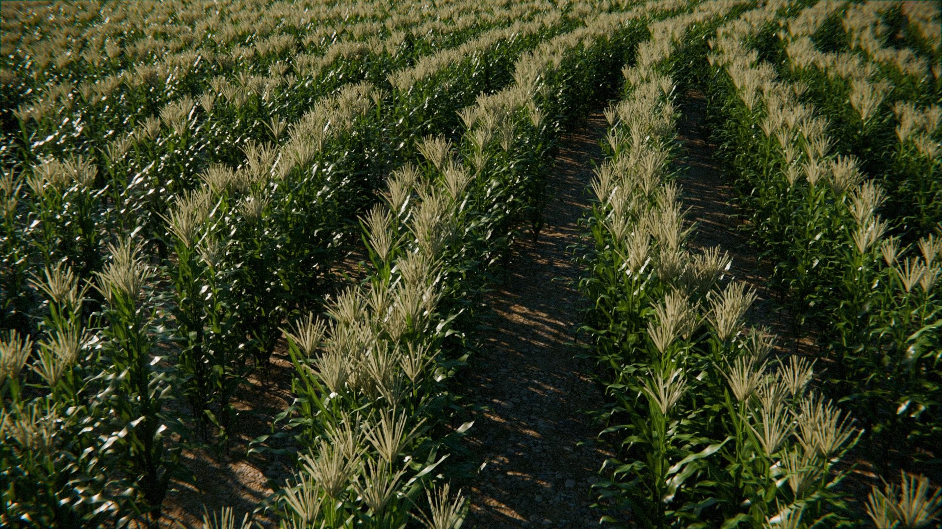 Farm Landscape 3d Scene 3D model https://p.turbosquid.com/ts-thumb/Iw/6giQPO/T0/farm_08/jpg/1770667375/1920x1080/fit_q87/922cfc9f5546747deab30300914c6d74778c0759/farm_08.jpg
