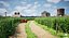 Scène 3D de paysage agricole