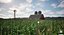 Scène 3D de paysage agricole