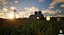 Scène 3D de paysage agricole