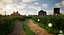 Scène 3D de paysage agricole