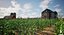 Scène 3D de paysage agricole