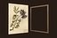 Herbarium pictures - PBR Game Ready