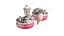 3D-Eiscreme-Paket