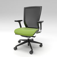 Techo Sidiz green