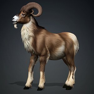 Goat-B1 3D model