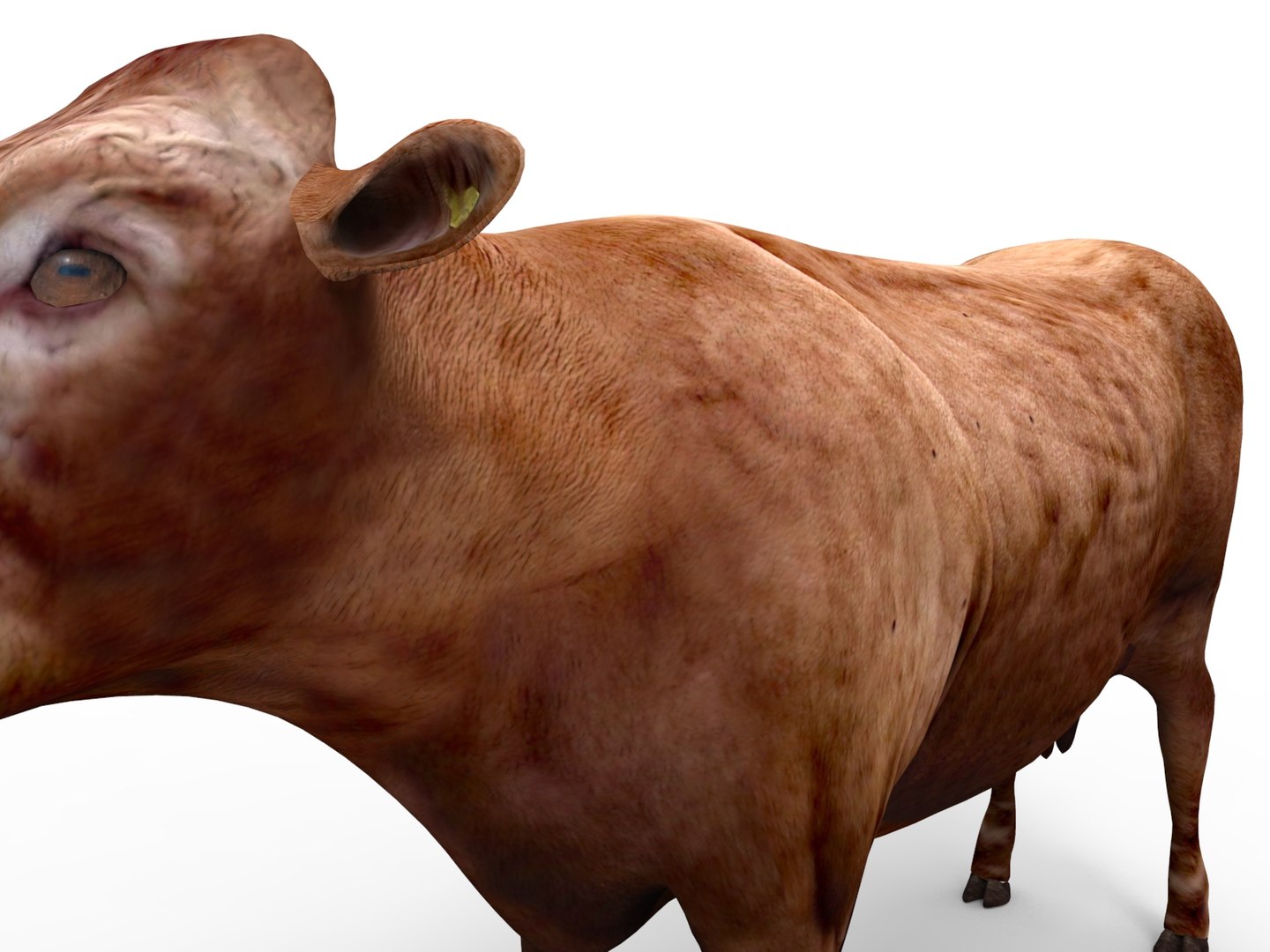 Cow rigged 3D - TurboSquid 1198832