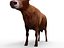 cow rigged 3D