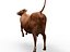 cow rigged 3D