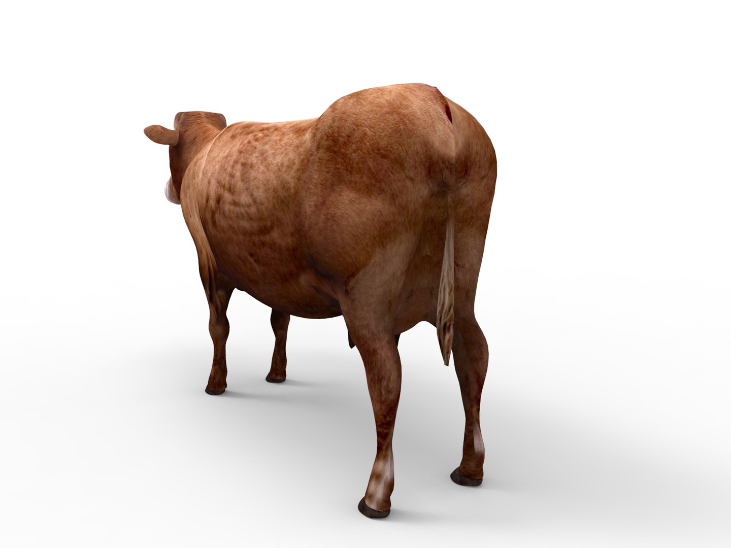 Cow rigged 3D - TurboSquid 1198832