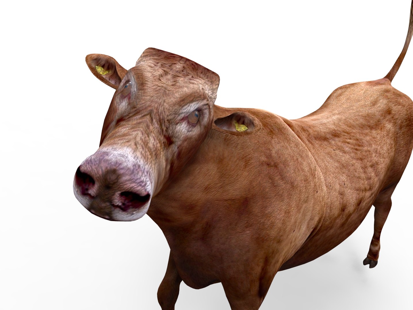 Cow rigged 3D - TurboSquid 1198832