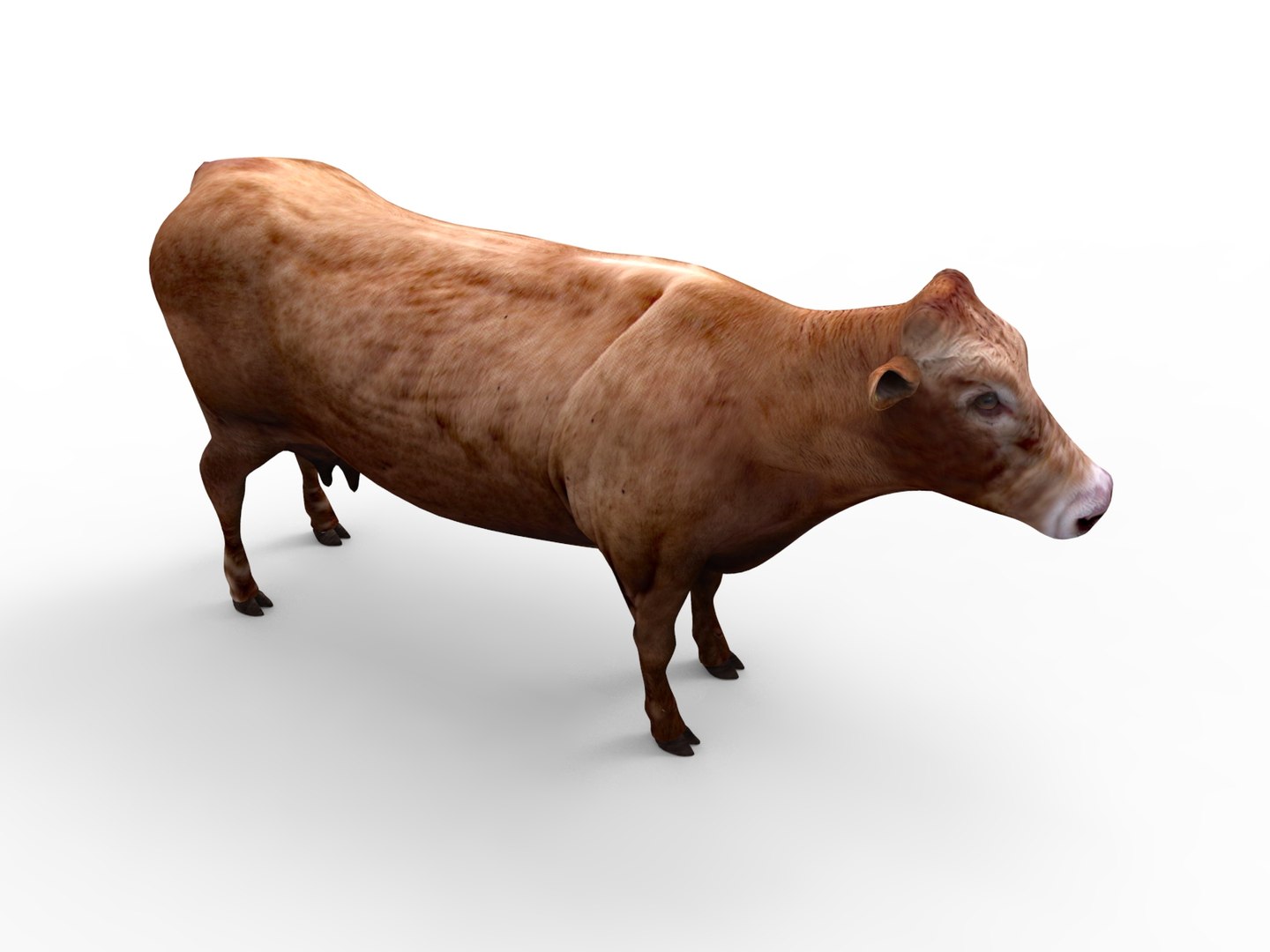 Cow rigged 3D - TurboSquid 1198832