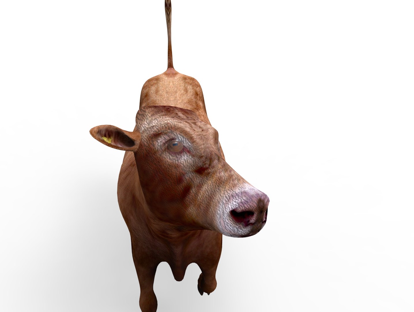 Cow rigged 3D - TurboSquid 1198832