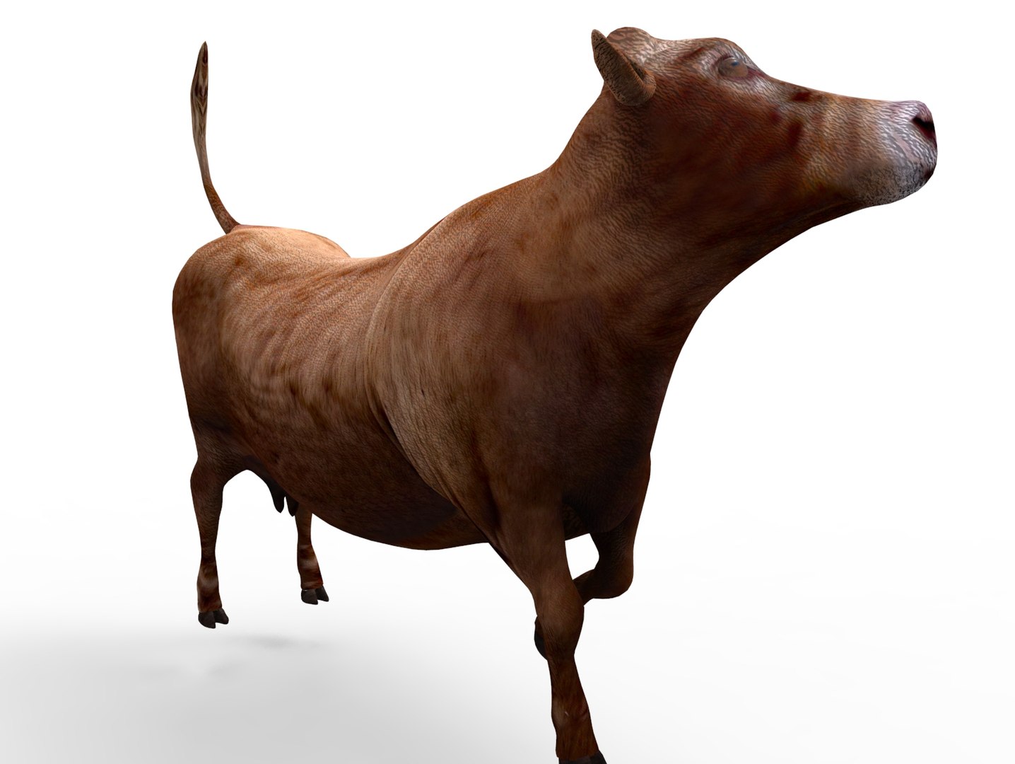 Cow rigged 3D - TurboSquid 1198832