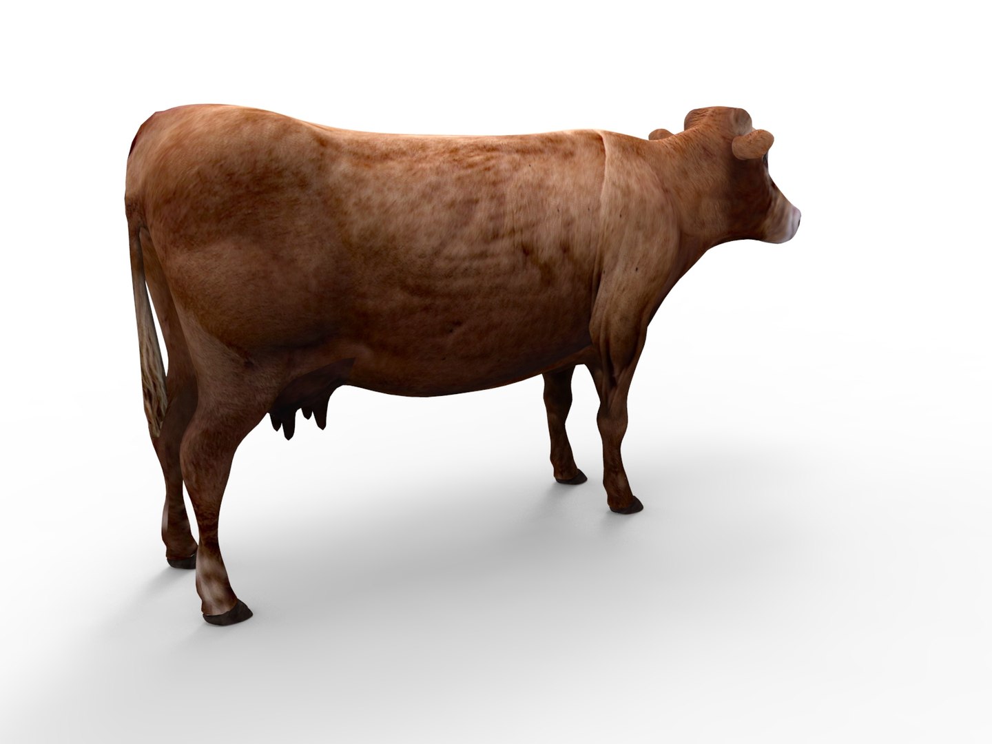 Cow rigged 3D - TurboSquid 1198832