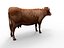 cow rigged 3D