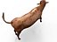 cow rigged 3D