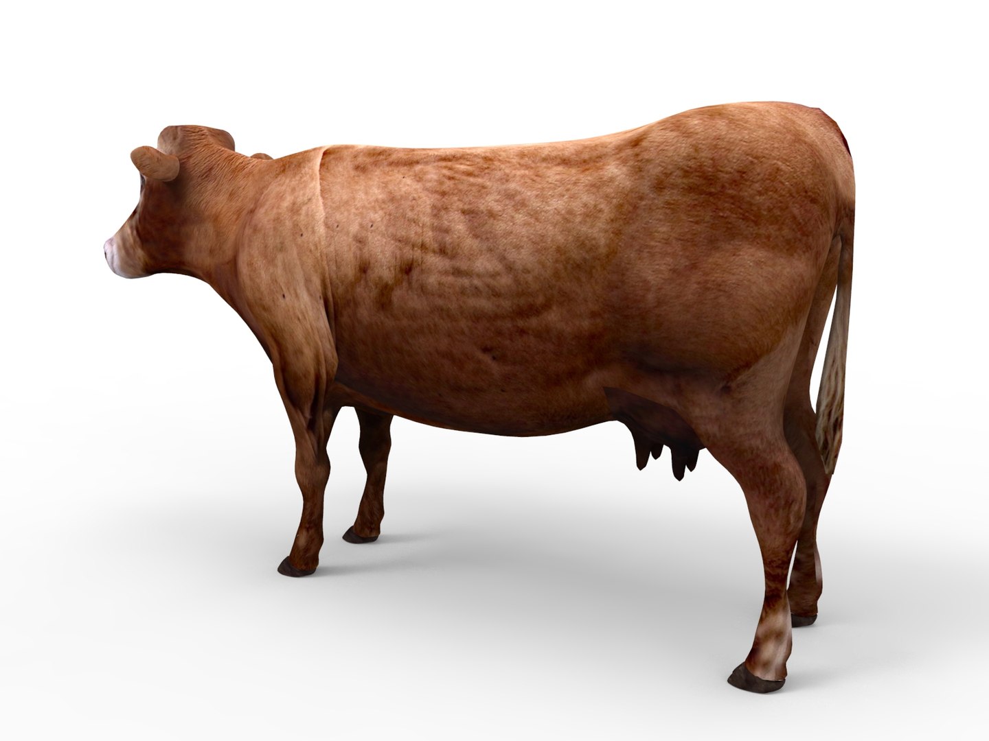 Cow rigged 3D - TurboSquid 1198832