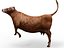 cow rigged 3D