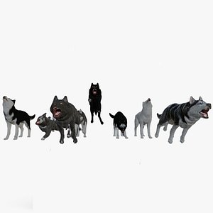 Wolf Pack