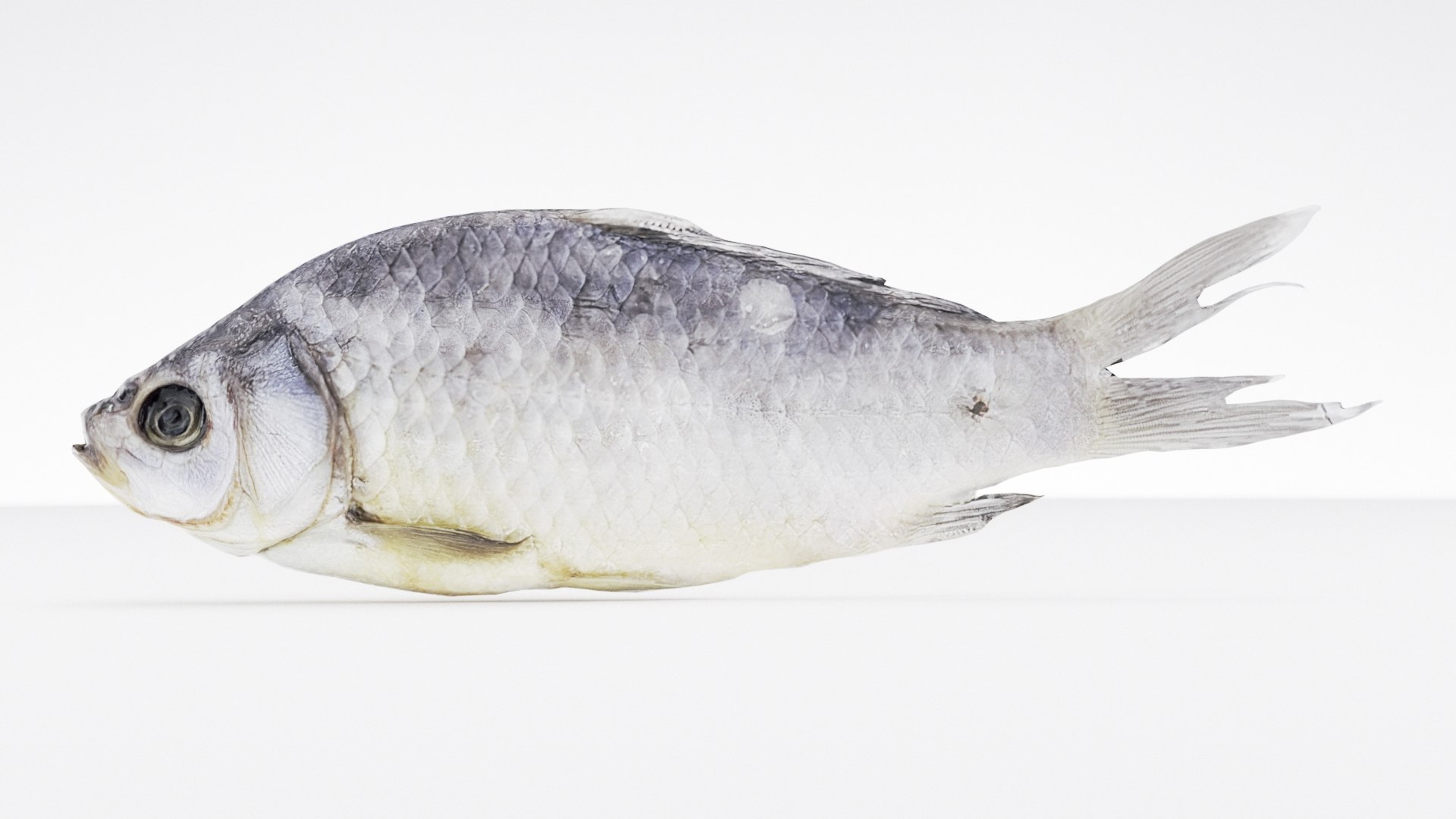 3D Dry Fish Low-poly 3d Scan - TurboSquid 2255602
