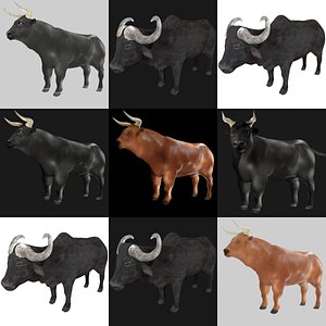 3D cattle brown black