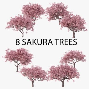3D Sakura Low Poly Set