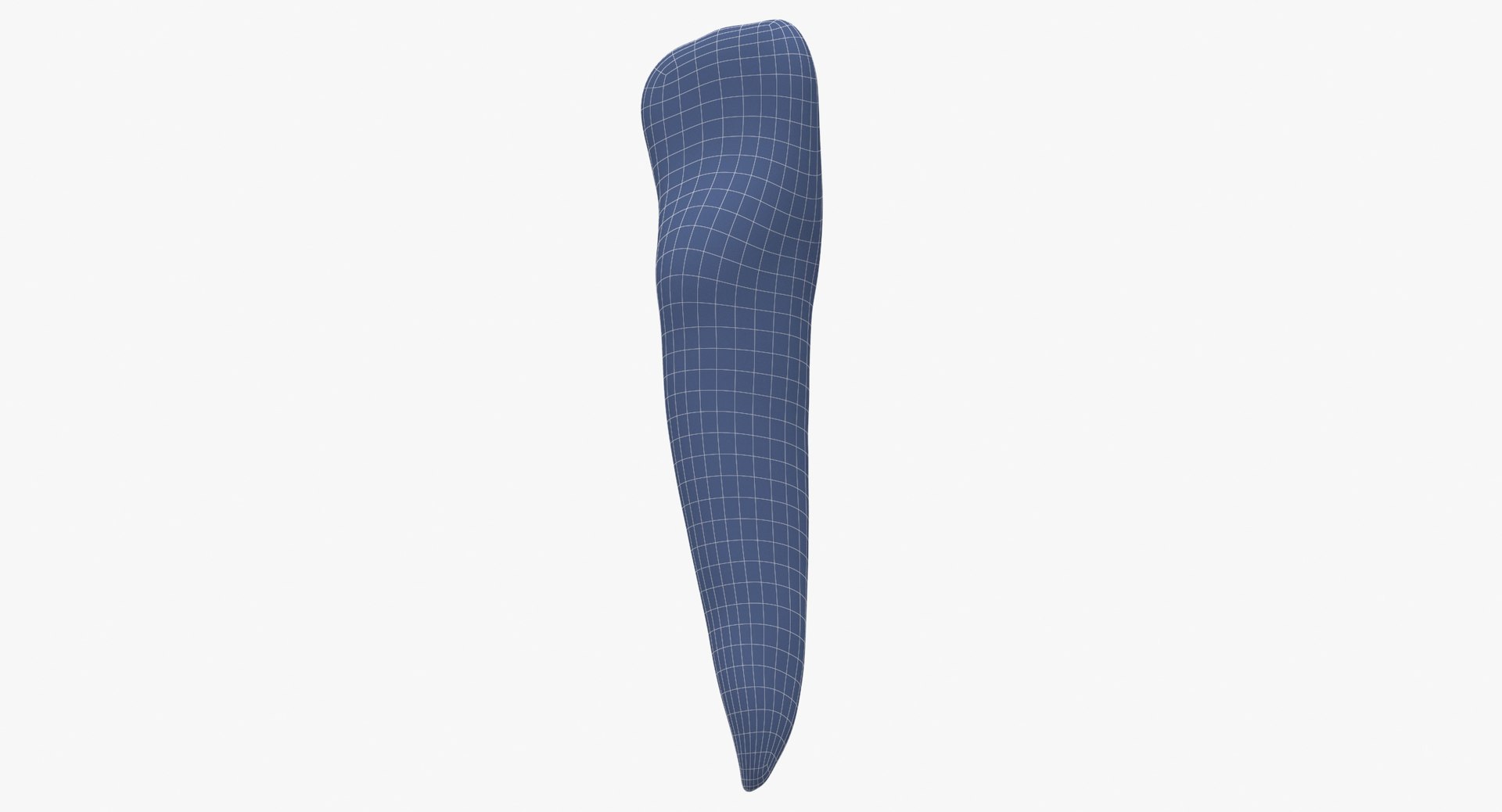 3D model incisor lower jaw 01 https://p.turbosquid.com/ts-thumb/Iw/x03iNa/lsUv4B45/incisor_lower_jaw_01_wireframe_0007/jpg/1582288537/1920x1080/fit_q87/759dcc1490d93e258fe779accc4915fc2563dfa3/incisor_lower_jaw_01_wireframe_0007.jpg