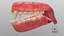 Creature Jaw Rig 3ds MAX
