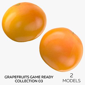 Grapefruits Game Ready Collection 03 - 2 models model