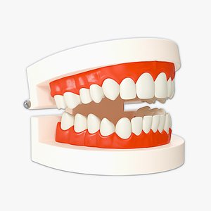 3D model Dental Teaching Mold Rigged and Animated