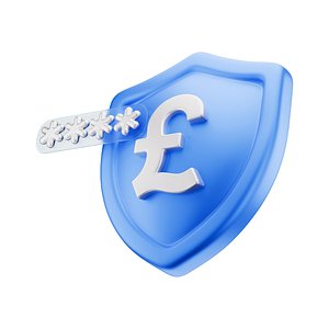 Shield Pound Pin Icon