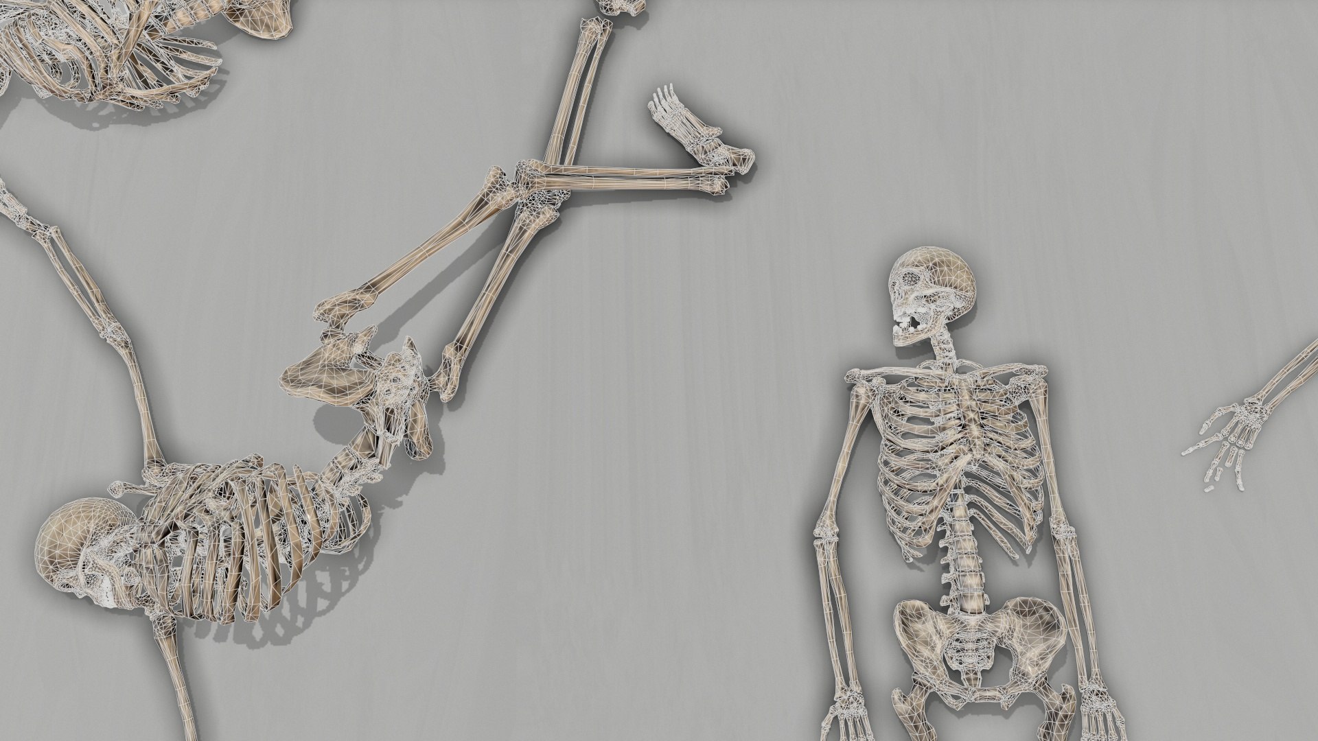 large corpse collections dog skeleton 3D model https://p.turbosquid.com/ts-thumb/Ix/EgJA15/7B586ayS/screenshot005/jpg/1551594337/1920x1080/fit_q87/f849f3bc55cfd139957efa47a4bb16ed18d45816/screenshot005.jpg