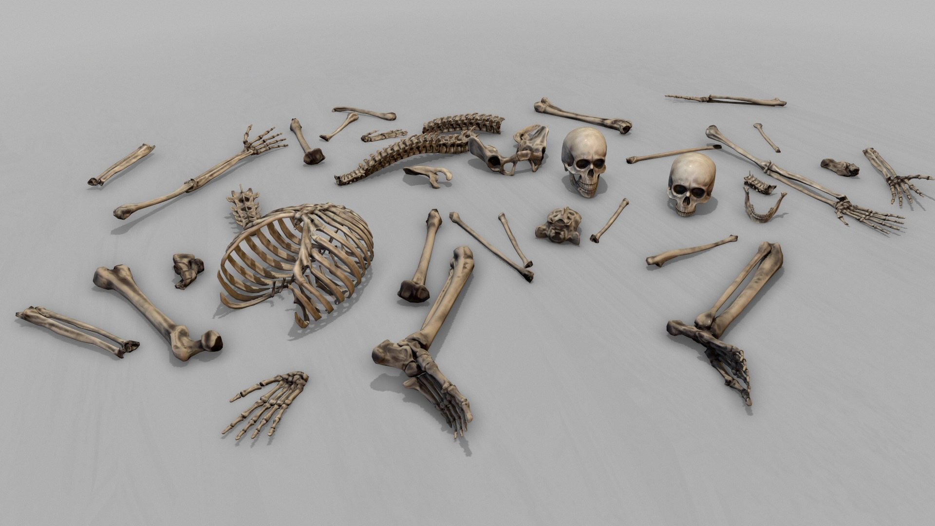 large corpse collections dog skeleton 3D model https://p.turbosquid.com/ts-thumb/Ix/EgJA15/dFvQbQWl/10/jpg/1550537380/1920x1080/fit_q87/a342773b4b5130a3d5afc101af7bda78d7ba927f/10.jpg