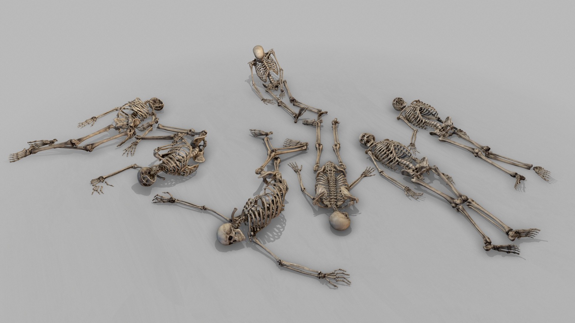 large corpse collections dog skeleton 3D model https://p.turbosquid.com/ts-thumb/Ix/EgJA15/rTcyu7Hf/12/jpg/1550537400/1920x1080/fit_q87/de57f7678d0241e0ef0433a0c1f4ea566f8350e6/12.jpg