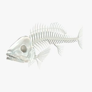 maya fish skeleton