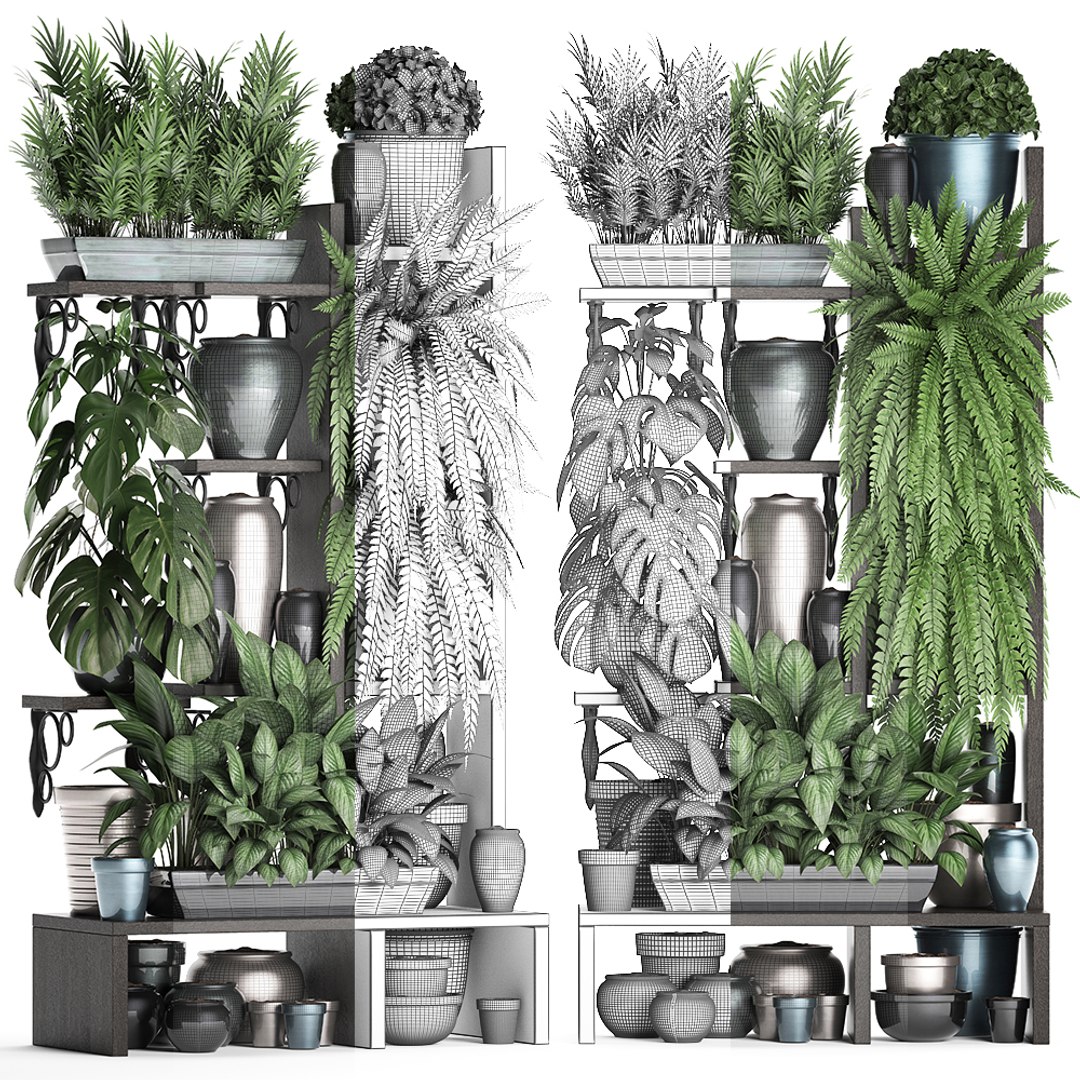 3D vertical exotic plants model https://p.turbosquid.com/ts-thumb/Ix/Y4sNp4/14fI5cPh/plant1508201907/jpg/1565969365/1920x1080/fit_q87/10daf326d50dd1a89b101984423fa050ce6f0bc9/plant1508201907.jpg