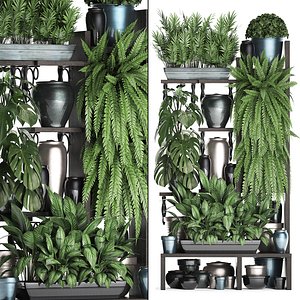 3D vertical exotic plants model